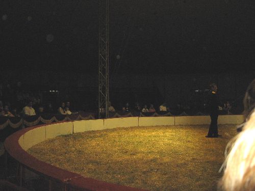 photo : cirque zavatta 33