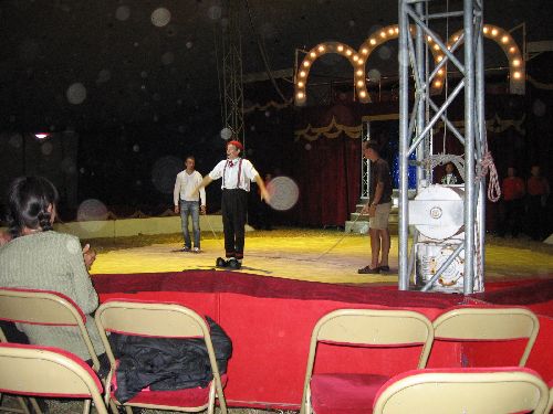 photo : cirque zavatta 41
