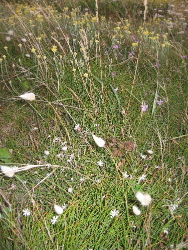 photo : vacances tharon 5