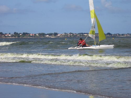 photo : cormorane 13