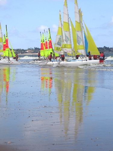 photo : cormorane 15