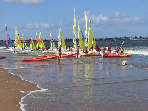 photo : cormorane 17