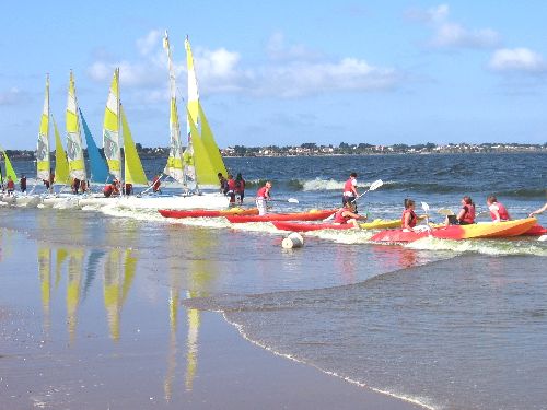 photo : cormorane 18