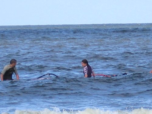 photo : cormorane 19