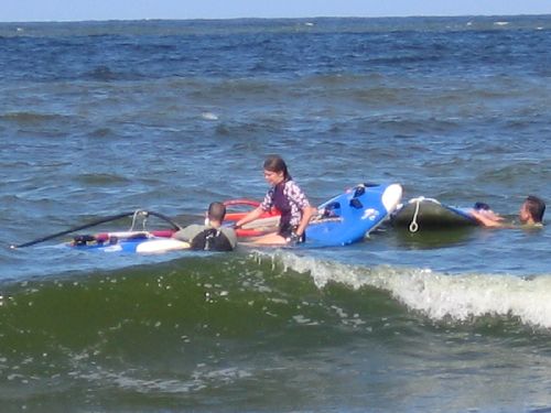 photo : cormorane 20