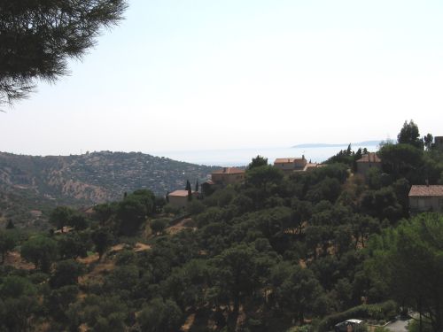 photo : Bormes les mimosas 5 (11/09/2009)