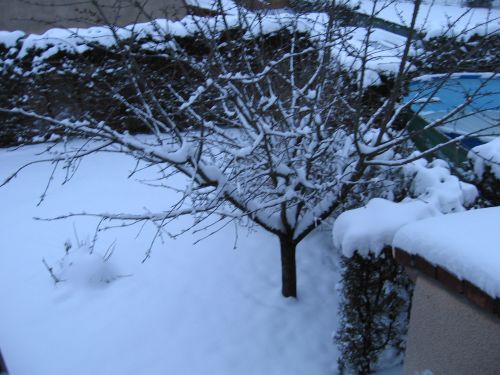 photo : neige a Lyon Saint Priest 05 (09/01/2010)