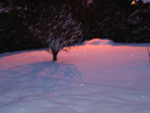photo : neige a Lyon Saint Priest 13 (09/01/2010)