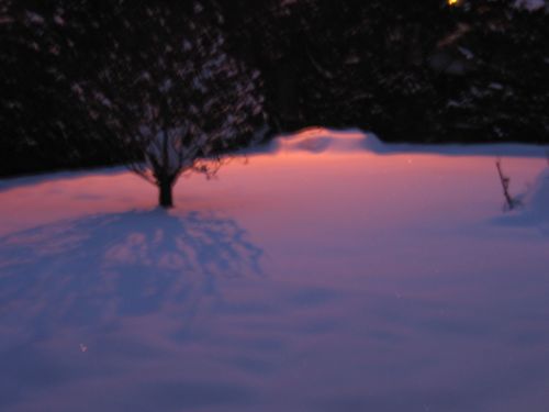 photo : neige a Lyon Saint Priest 15 (09/01/2010)