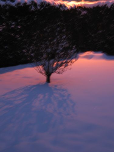 photo : neige a Lyon Saint Priest 16 (09/01/2010)