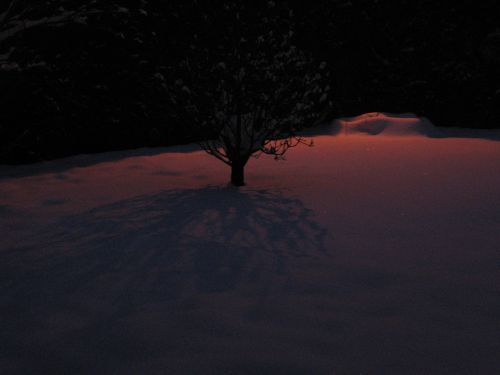 photo : neige a Lyon Saint Priest 18 (09/01/2010)