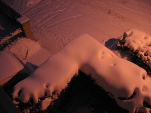 photo : neige a Lyon Saint Priest 26 (09/01/2010)