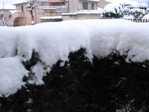 photo : neige a Lyon Saint Priest 01 (10/01/2010)