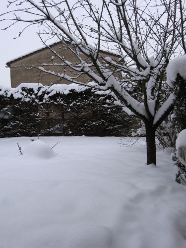 photo : neige a Lyon Saint Priest 03 (10/01/2010)