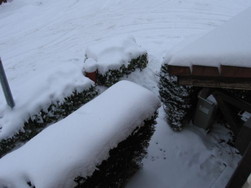 photo : neige a Lyon Saint Priest 14 (10/01/2010)