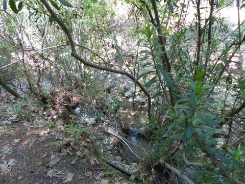 photo : 15 du 02/05/2013