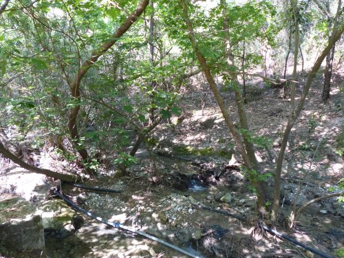 photo : 17 du 02/05/2013