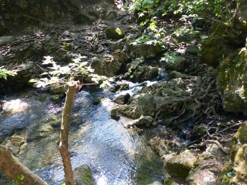 photo : 27 du 02/05/2013