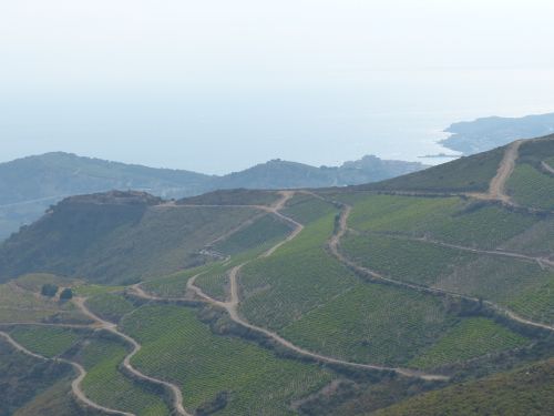 photo : 42 du 23/08/2013