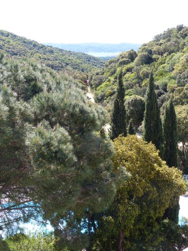 photo : 03 du 27/04/2014