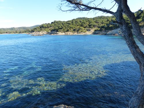 photo : 06 Sentier du littoral Cap Lardier (29/04/2014)