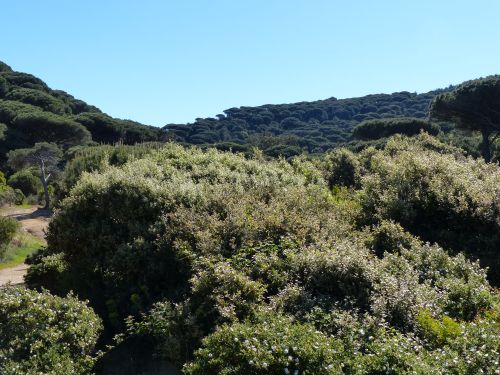 photo : 08 Sentier du littoral Cap Lardier (29/04/2014)