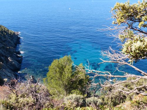photo : 09 Sentier du littoral Cap Lardier (29/04/2014)