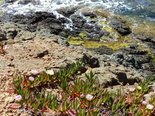 photo : 26 Sentier du littoral Cap Taillat (29/04/2014)