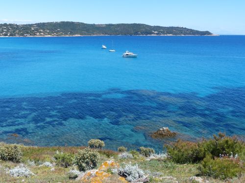 photo : 31 Sentier du littoral Cap Taillat (29/04/2014)