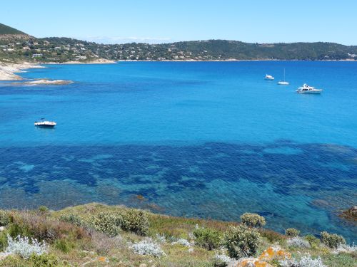 photo : 32 Sentier du littoral Cap Taillat (29/04/2014)