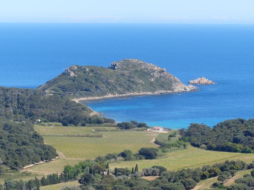 photo : 47 Sentier du littoral Cap Taillat (29/04/2014)