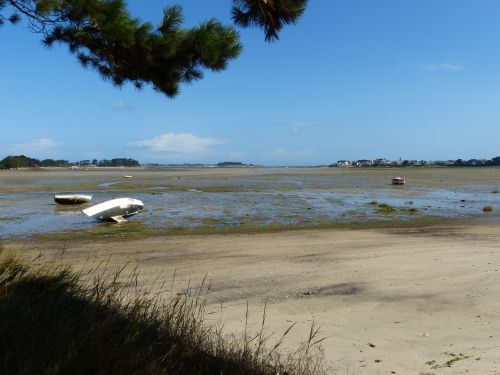 photo : Roscoff 04 (11/08/2014)