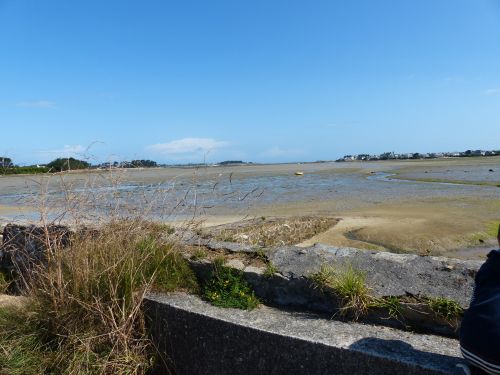 photo : Roscoff 05 (11/08/2014)