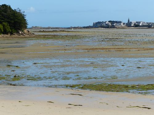 photo : Roscoff 07 (11/08/2014)