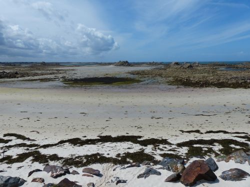 photo : Roscoff 10 (11/08/2014)
