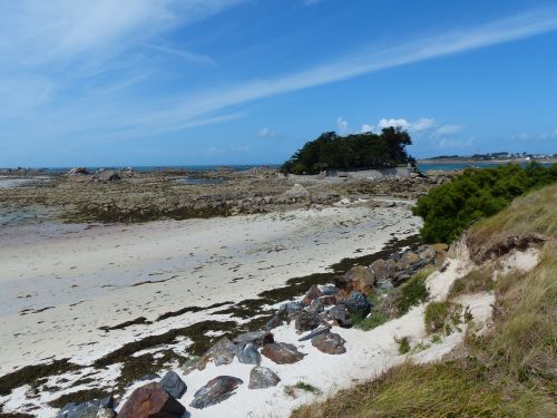 photo : Roscoff 11 (11/08/2014)