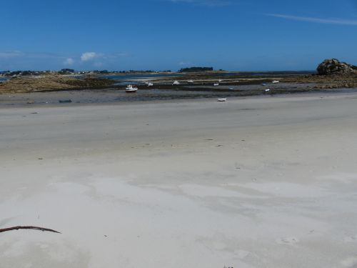 photo : Roscoff 14 (11/08/2014)