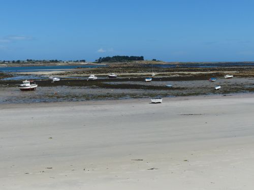 photo : Roscoff 15 (11/08/2014)