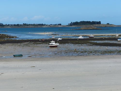 photo : Roscoff 17 (11/08/2014)