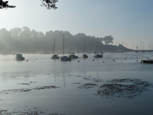 photo : Le port de Pornic dans la brume 04 (31/12/2014)