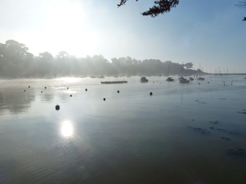 photo : Le port de Pornic dans la brume 05 (31/12/2014)