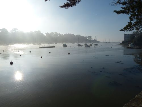photo : Le port de Pornic dans la brume 06 (31/12/2014)