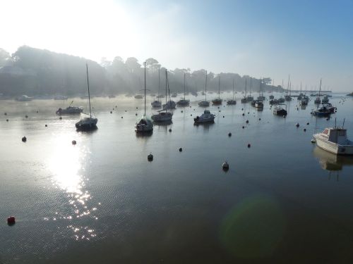 photo : Le port de Pornic dans la brume 11 (31/12/2014)