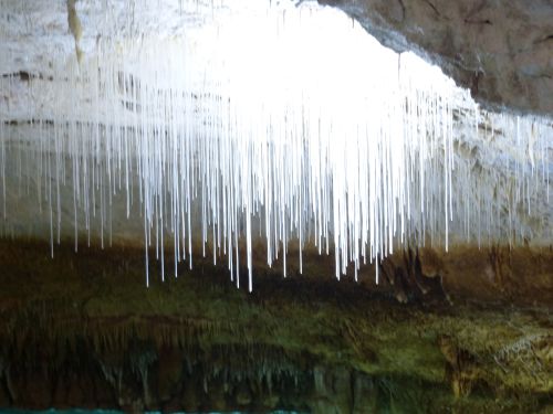photo : Grotte de Choranche 07 (08/05/2015)