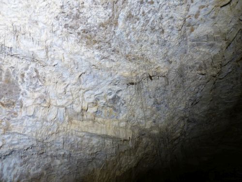 photo : Grotte de Choranche 11 (08/05/2015)
