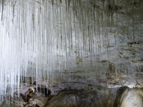 photo : Grotte de Choranche 17 (08/05/2015)