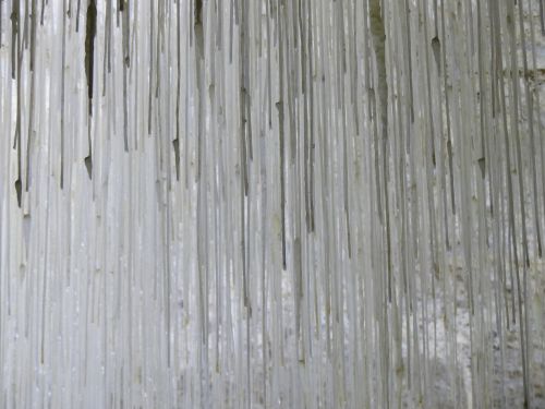 photo : Grotte de Choranche 19 (08/05/2015)