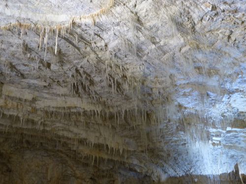 photo : Grotte de Choranche 40 (08/05/2015)
