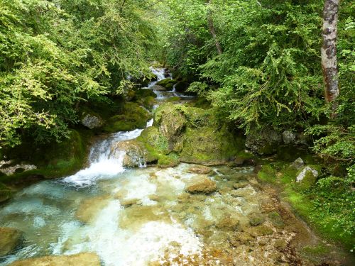 photo : Grotte de Choranche 60 (08/05/2015)