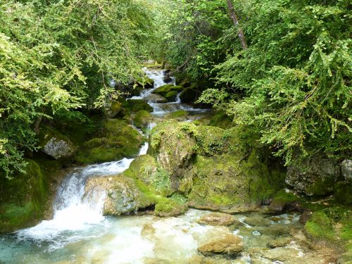 photo : Grotte de Choranche 62 (08/05/2015)